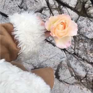 Meet your Posher, Mary Jane